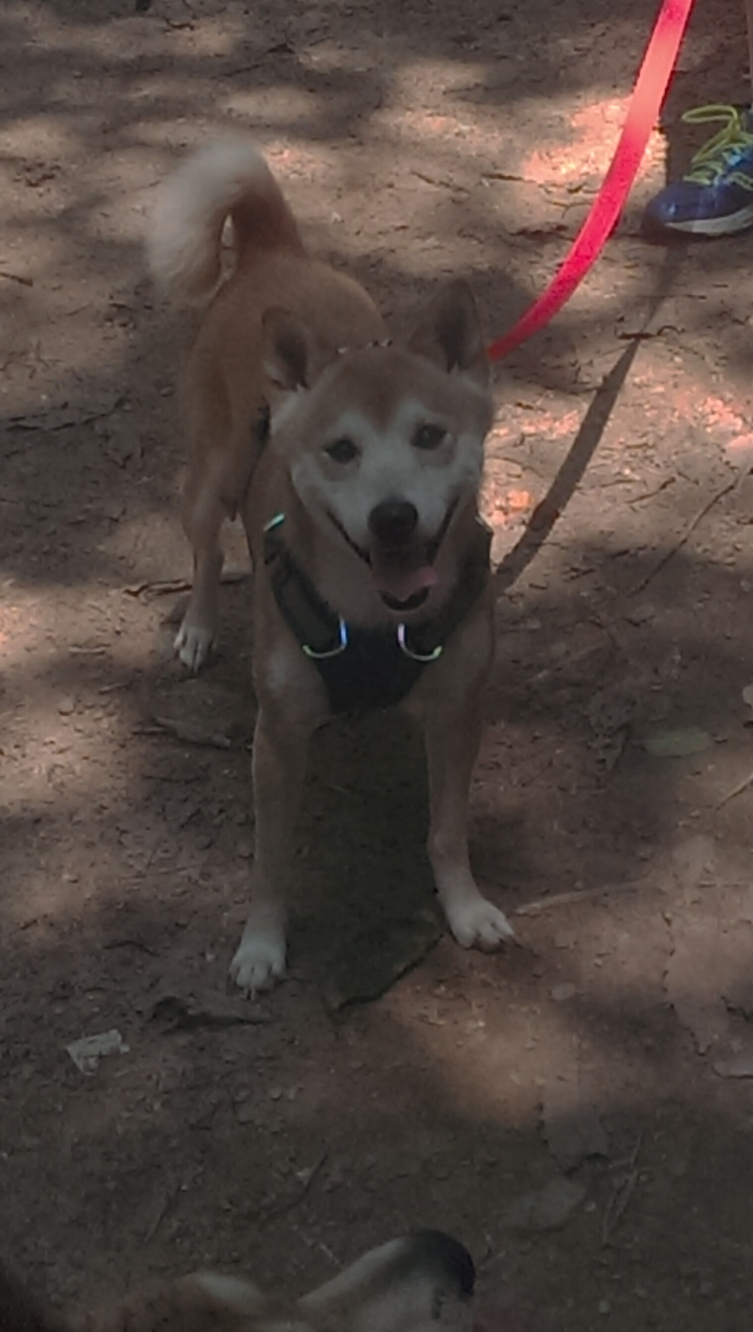 昨夜重现，孔德化身马拉多纳，乌拉圭逆转利物浦接管美加墨