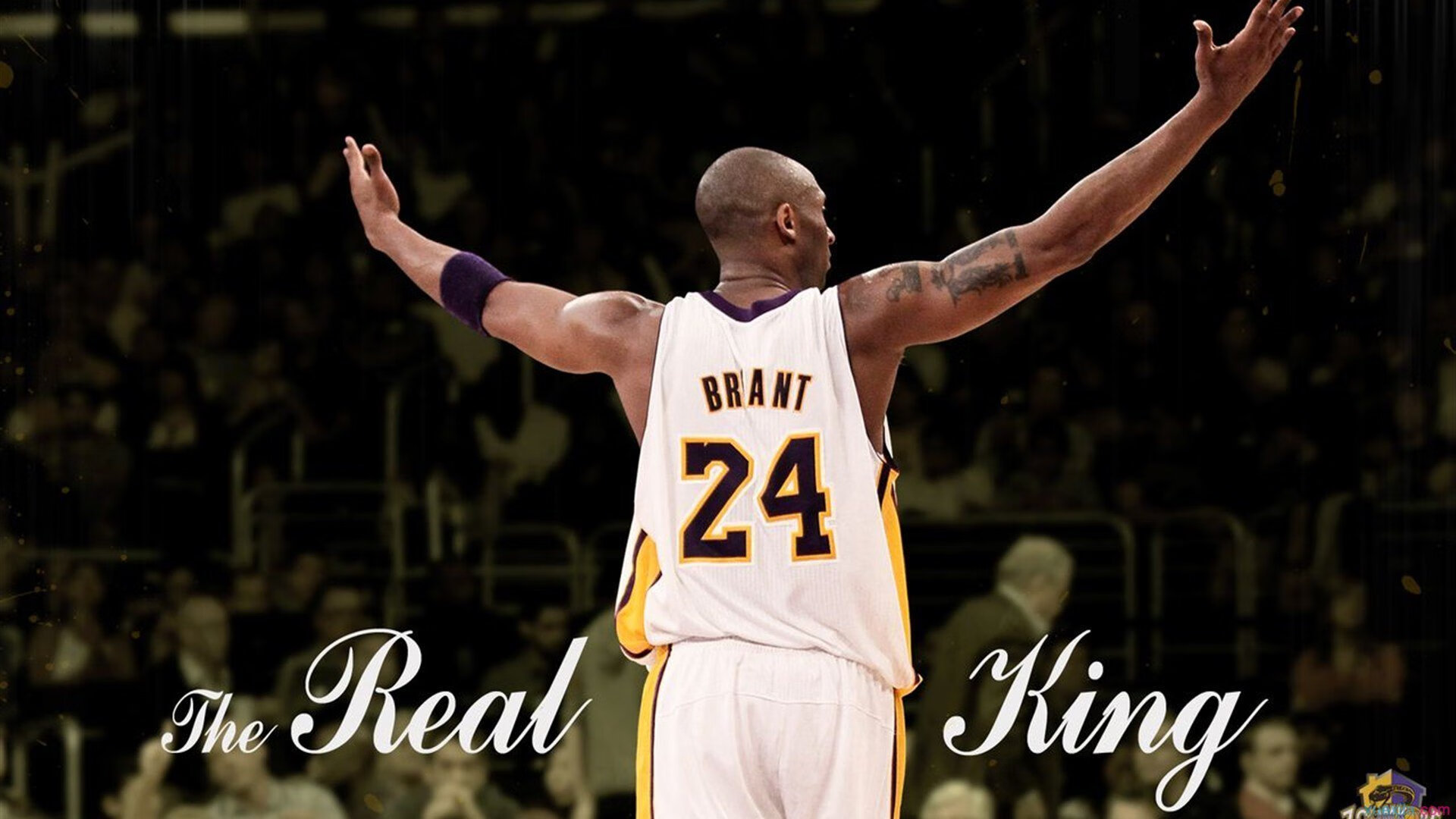 狼啸末节！森林狼窒息防守绞杀快船，硬核数据揭示蜕变密码